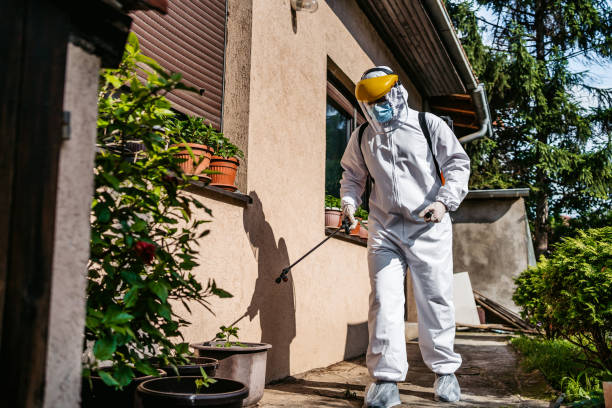 Wasp Removal Services in Seminole, OK